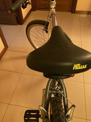 Bicicleta Orbea Delta 312 Mountaineer