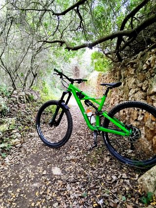 Specialized enduro 29
