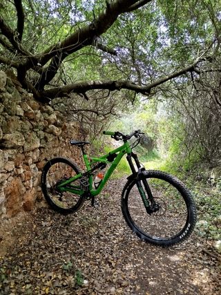 Specialized enduro 29