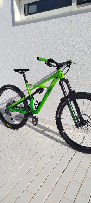 Specialized enduro 29