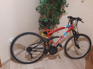 Bici CUSTOM descenso
