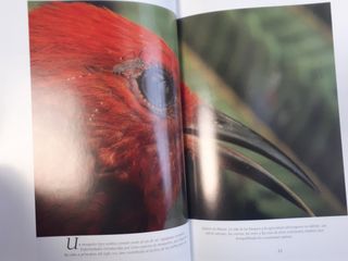 Enciclopedia National Geographic