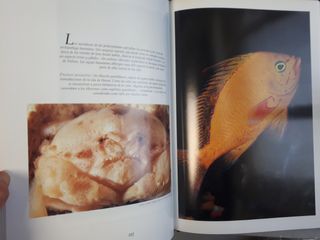 Enciclopedia National Geographic