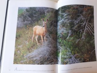 Enciclopedia National Geographic
