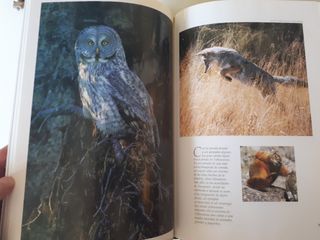 Enciclopedia National Geographic