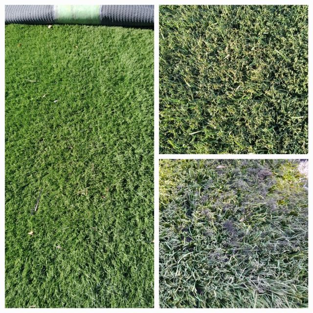 Vive verde Césped artificial