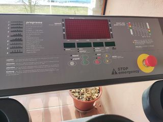 Cinta de correr profesional