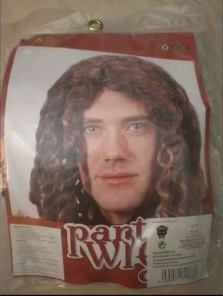 DISFRAZ PELUCA HOMBRE RIZOS COBRIZO. NUEVA