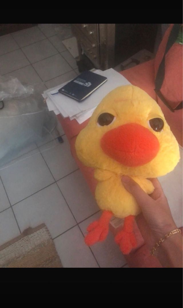 peluche vitamini pulcino