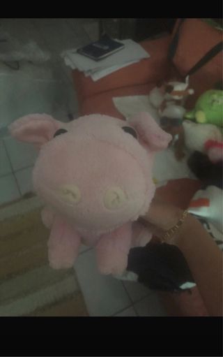 peluche vitamini maiale