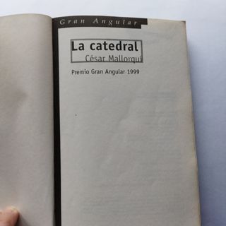 Libro juvenil "La catedral"