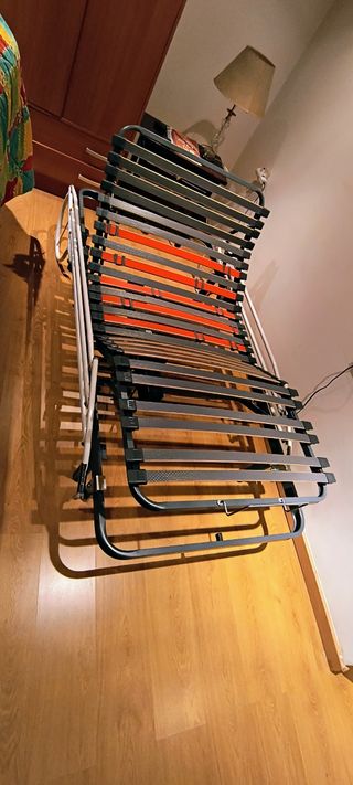 Cama eléctrica articulada
