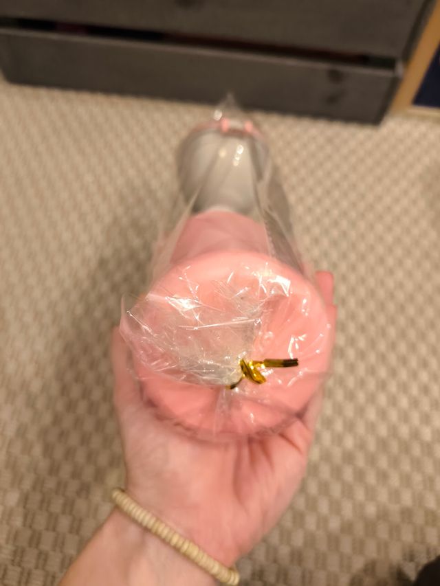 Orinal portátil SIN ESTRENAR