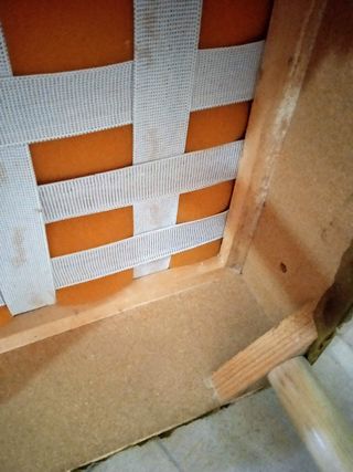 Coppia di POLTRONE imbottite