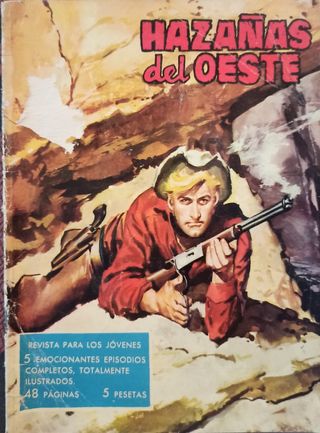 Lote 13 Comics tebeos comics western varios