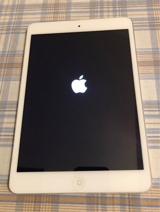 iPad mini (2013) 16 GB - WiFi