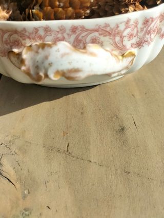 Legumbrera porcelana Limoges.