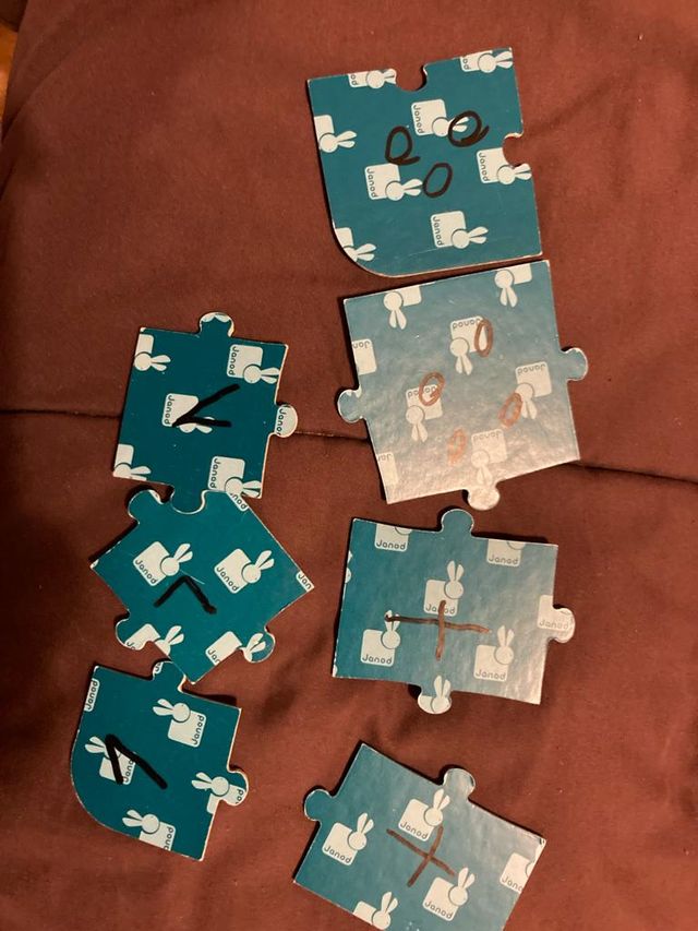 Juego 4 Puzzles evolutivos Janod