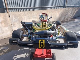 Kart kz Tony kart tm kz10c