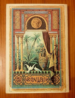 Libro S.calleja Viajes extraodinarios