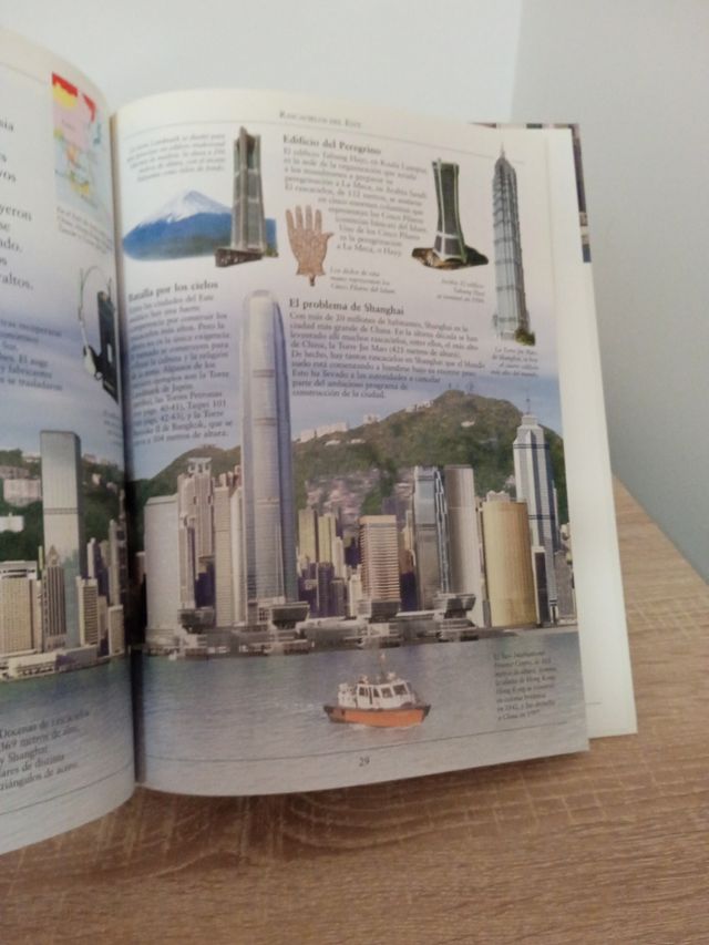 Libro Los rascacielos al descubierto.