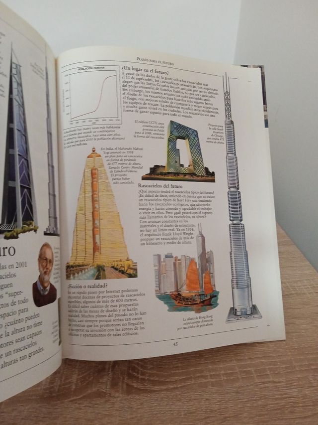 Libro Los rascacielos al descubierto.