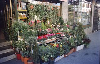 Vision 3 200T Carrete de color 27 exposiciones