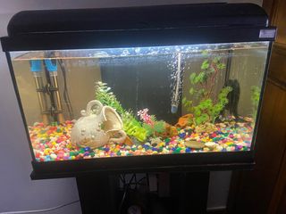 acuario completo 60 l.