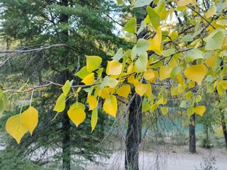 ALQUILER DE APARTAMENTO PARA FINES DE SEMANA EN CUENCA (min 2 noches)