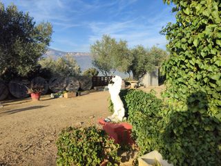 Alquiler finca para calçotadas