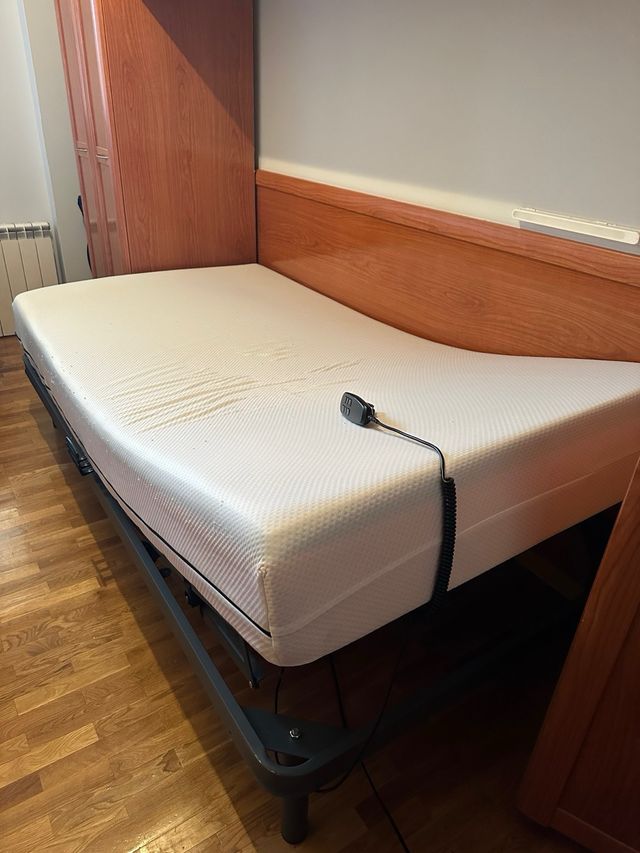 Cama electrica articulada