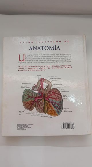 ATLAS ILUSTRADO DE ANATOMÍA