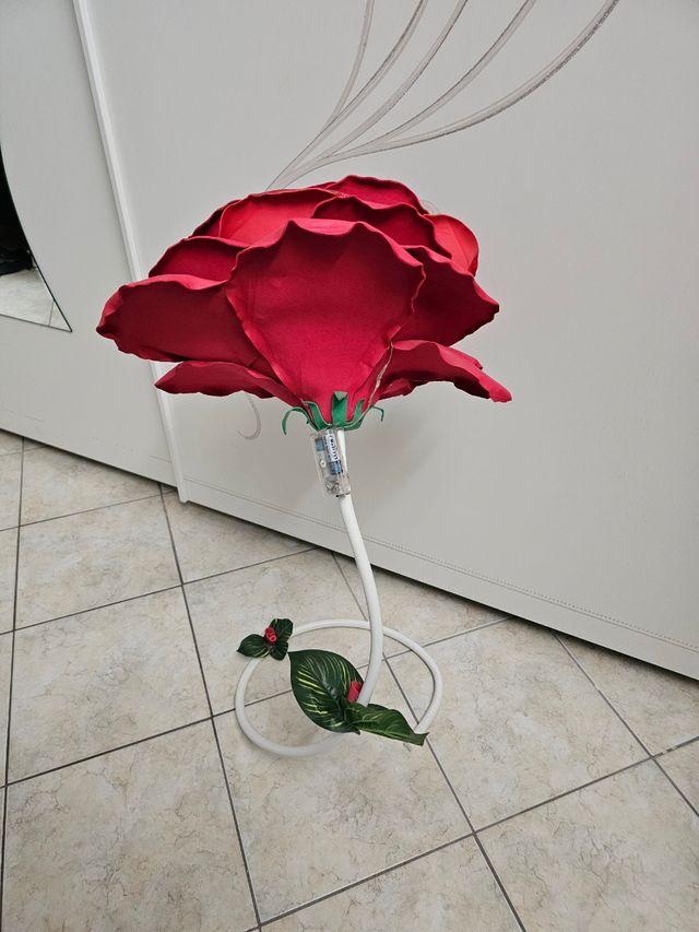 Rosa con luci molto particolare 