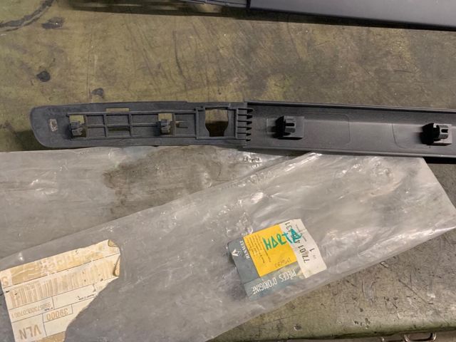 2 Molduras NUEVAS puerta Renault Clio III