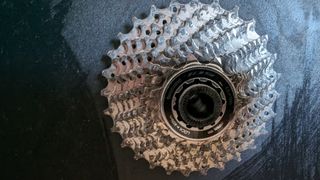 Rodillo Tacx flux 2 smart