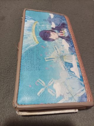 Cartera con espacio