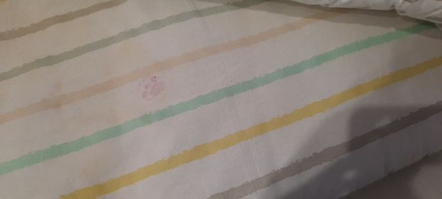 Nórdico cuna + relleno