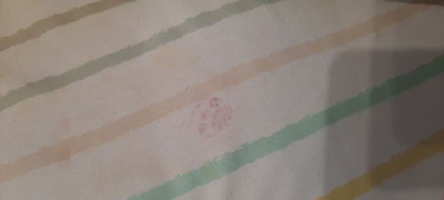 Nórdico cuna + relleno