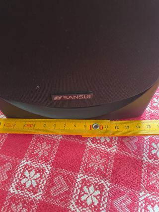 SPEAKER 2 pezzi. SHANSUI