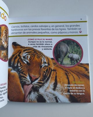 Lote cuentos Mis animales favoritos