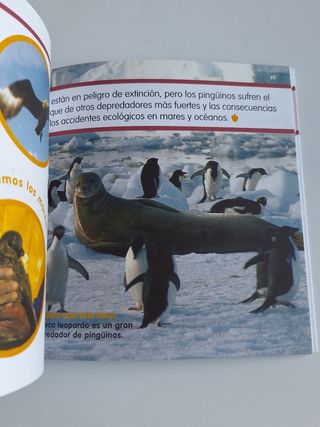 Lote cuentos Mis animales favoritos