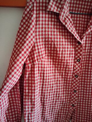 Camisa vintage Alphorn 