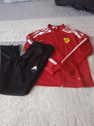 Ropa de Fútbol Séneca 