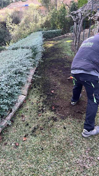 Jardinero Podas frutales y arboles,mantenimientos