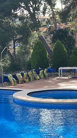 Jardinero Podas frutales y arboles,mantenimientos