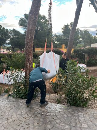 Jardinero Podas frutales y arboles,mantenimientos