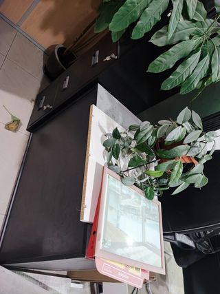 Lote de muebles para oficina