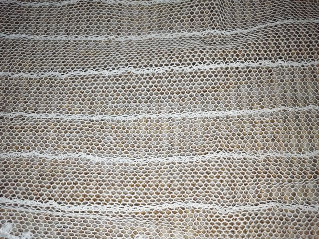 Antiquísimo!!!! velo de novia.