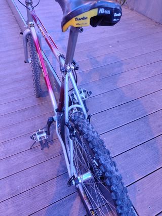 Fuji SL Zeus