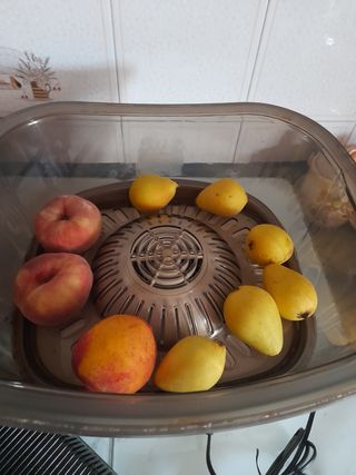 Rinfrescatore termoelettrico per frutta